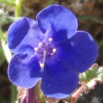 The Energy of Trauma