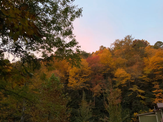 Website Re-opening Soon