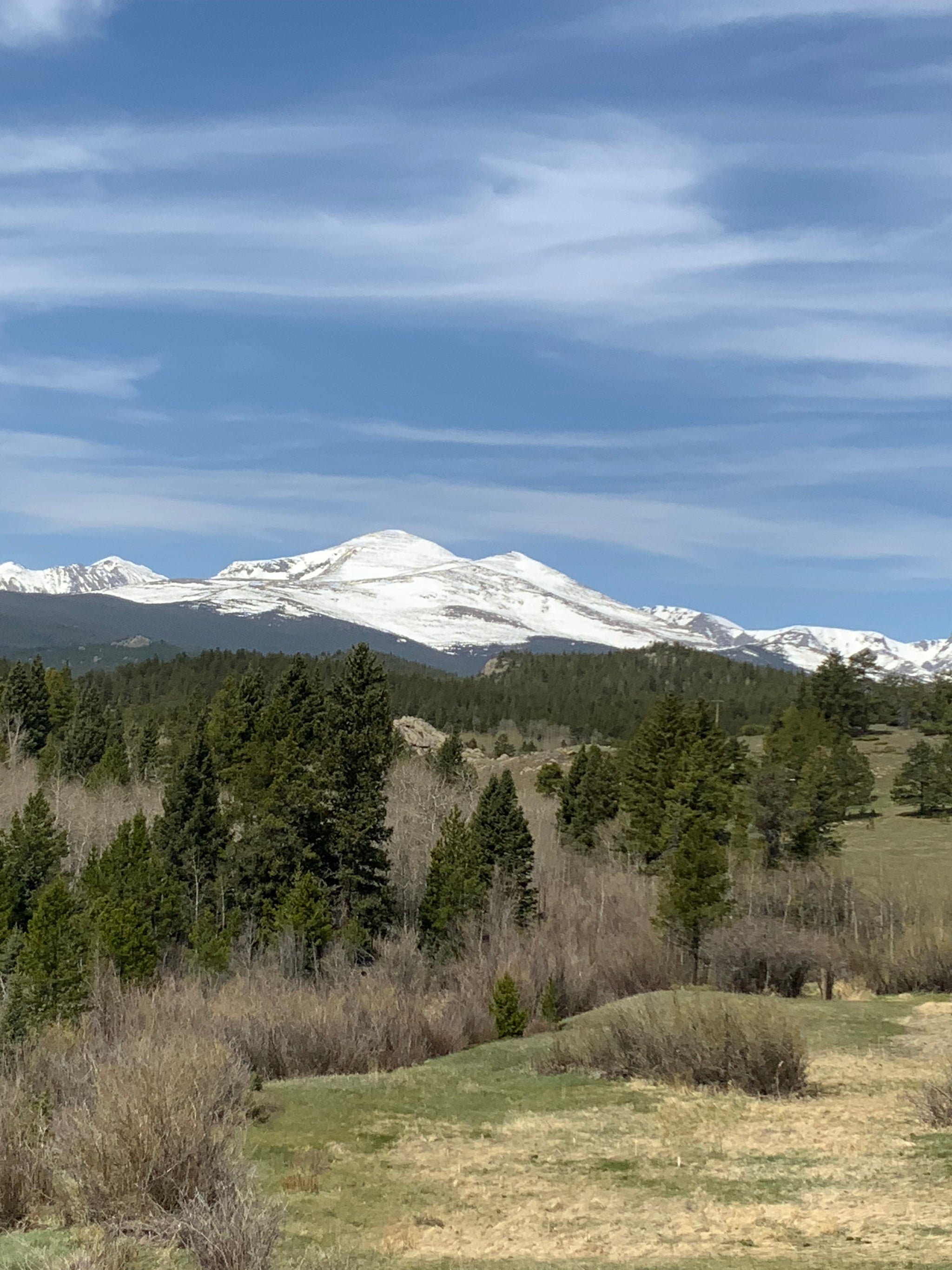 The Rocky Mountain 7 and Quacking Aspen Flower Essence