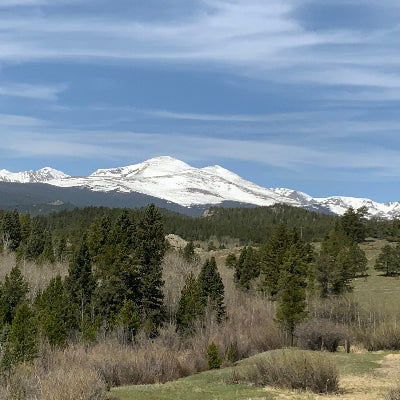 Mountain Blend