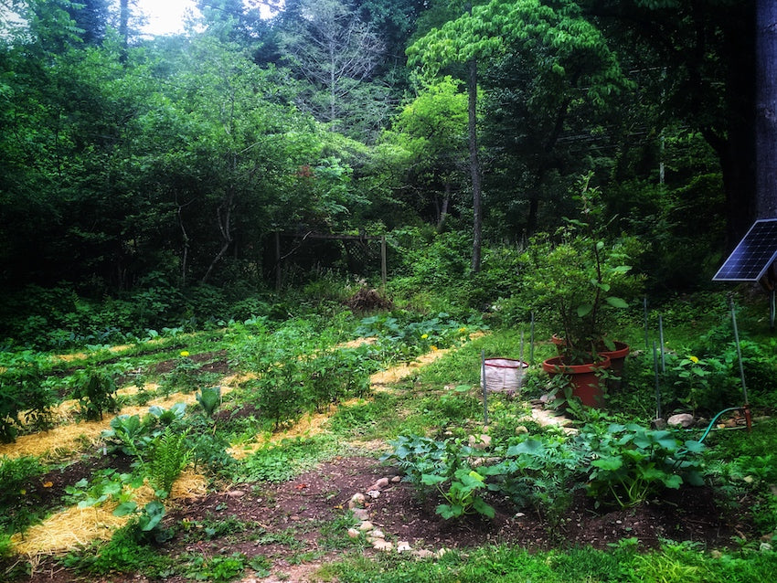 Garden and Herb Kit