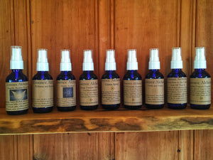 Gnosa Set 12 - 4oz spray bottles