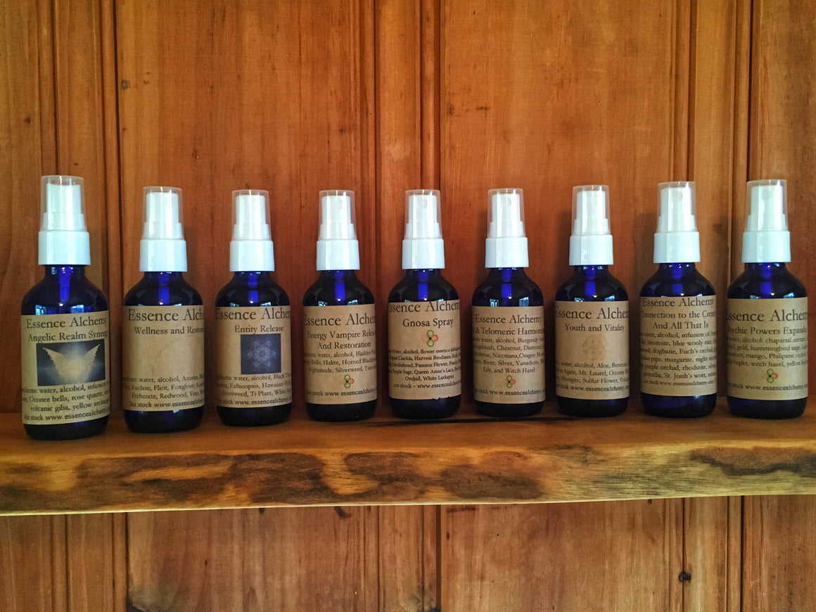 Gnosa Set 12 - 4oz spray bottles