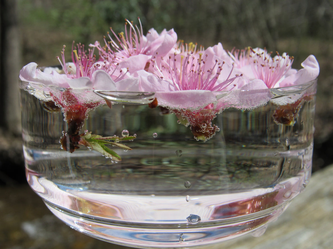 Peach flower essence